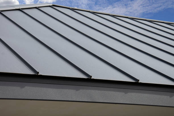 Best Roof Waterproofing  in Viroqua, WI